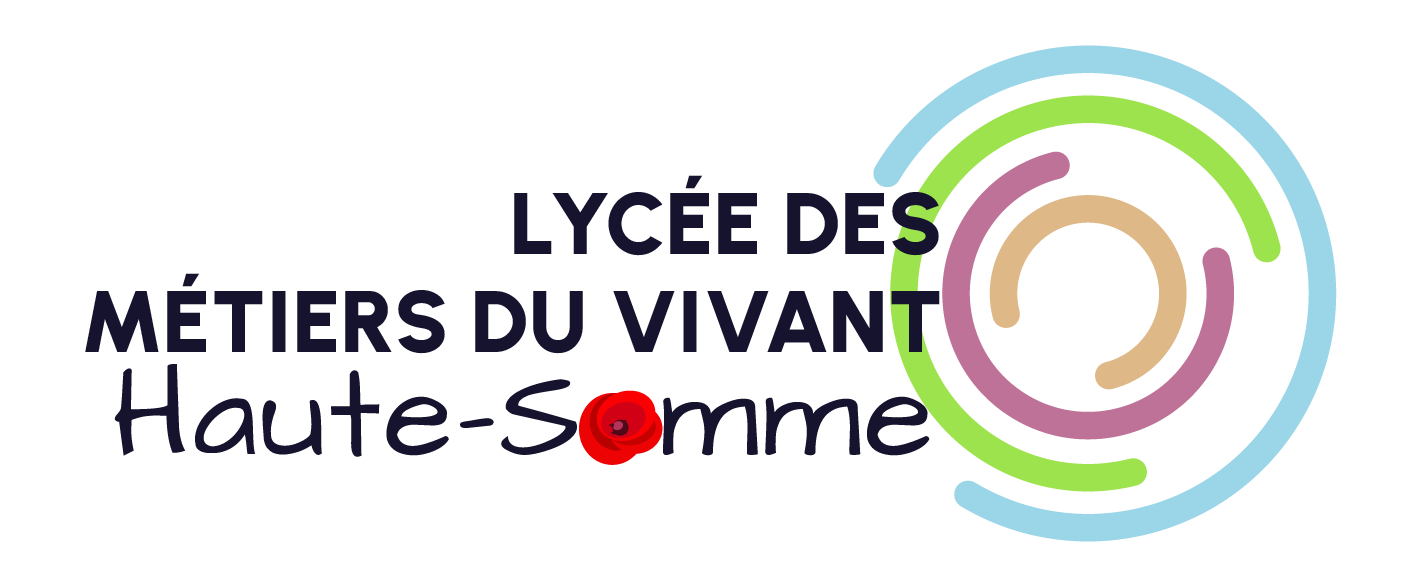 logo16